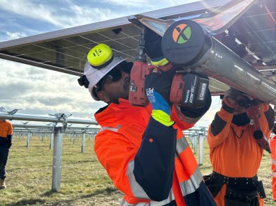 Kōwhai Park solar farm reaches Golden Row milestone