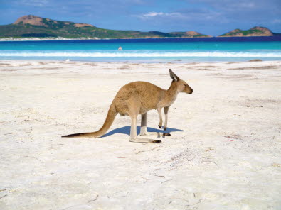 Christchurch strengthens Australian links with new direct Perth service